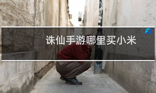 诛仙手游哪里买小米