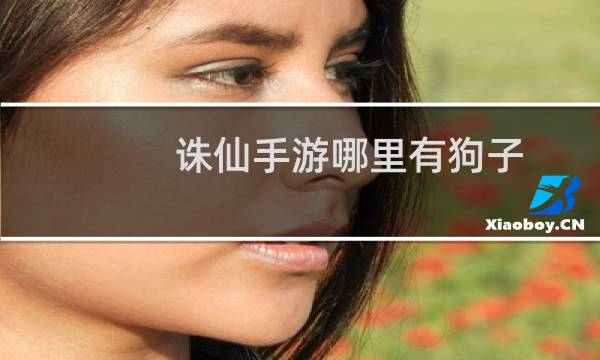 诛仙手游哪里有狗子