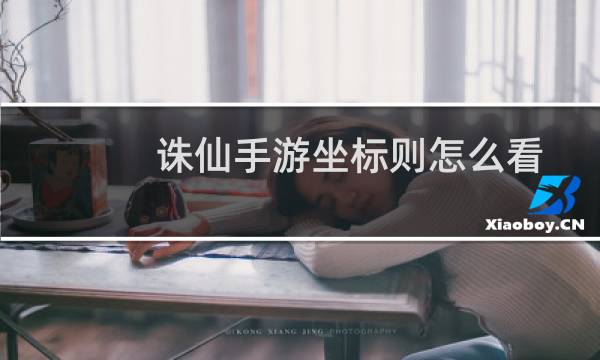 诛仙手游坐标则怎么看