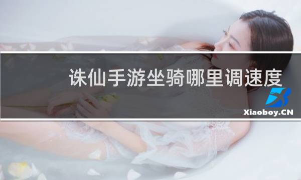 诛仙手游坐骑哪里调速度