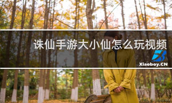 诛仙手游大小仙怎么玩视频