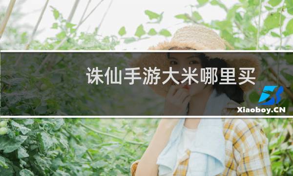 诛仙手游大米哪里买