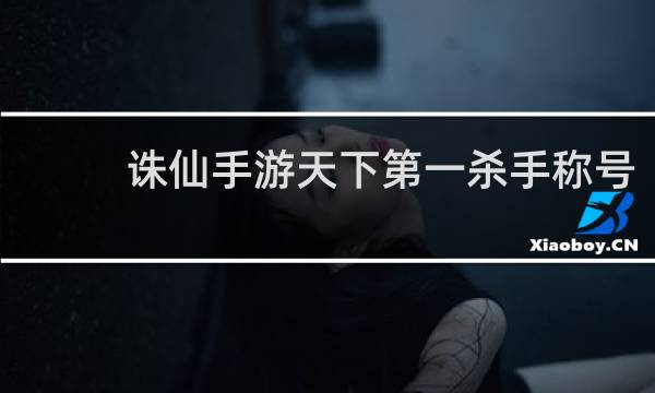 诛仙手游天下第一杀手称号