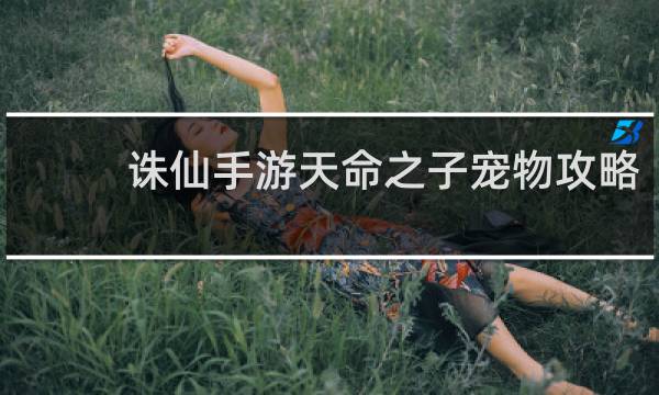 诛仙手游天命之子宠物攻略