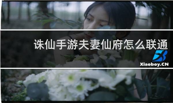 诛仙手游夫妻仙府怎么联通