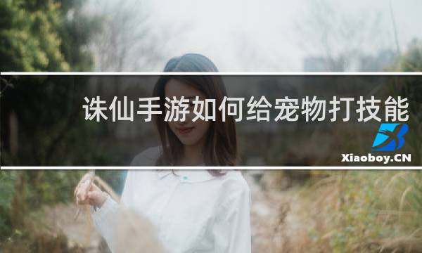 诛仙手游如何给宠物打技能