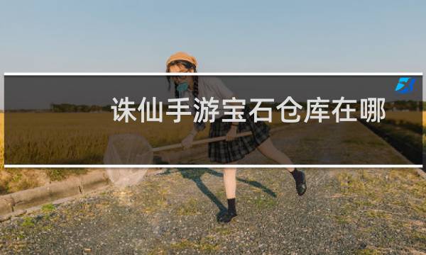 诛仙手游宝石仓库在哪