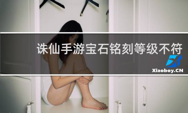 诛仙手游宝石铭刻等级不符