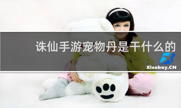 诛仙手游宠物丹是干什么的