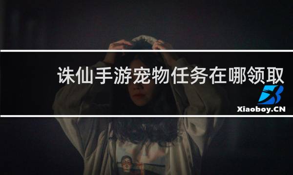 诛仙手游宠物任务在哪领取