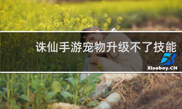 诛仙手游宠物升级不了技能