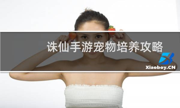 诛仙手游宠物培养攻略