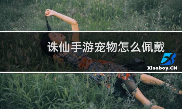 诛仙手游宠物怎么佩戴