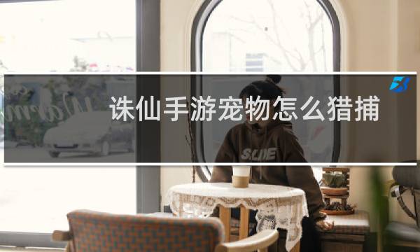诛仙手游宠物怎么猎捕