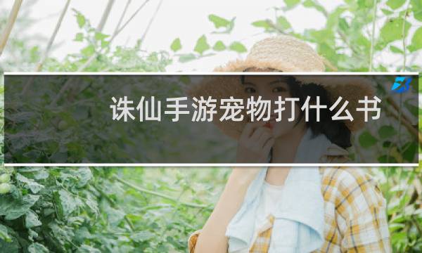 诛仙手游宠物打什么书