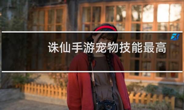 诛仙手游宠物技能最高