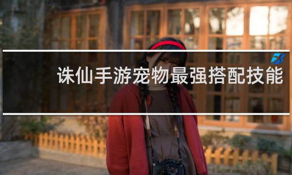 诛仙手游宠物最强搭配技能