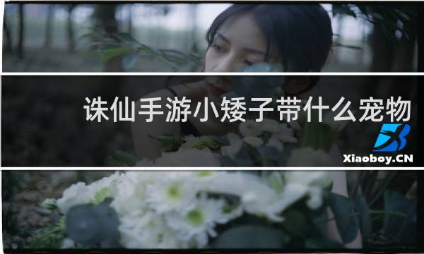 诛仙手游小矮子带什么宠物