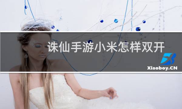 诛仙手游小米怎样双开