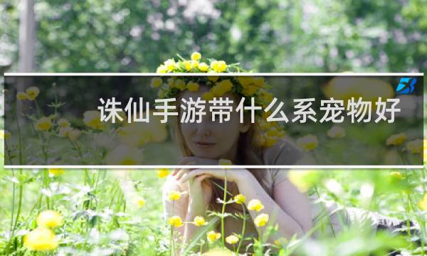 诛仙手游带什么系宠物好