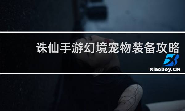 诛仙手游幻境宠物装备攻略