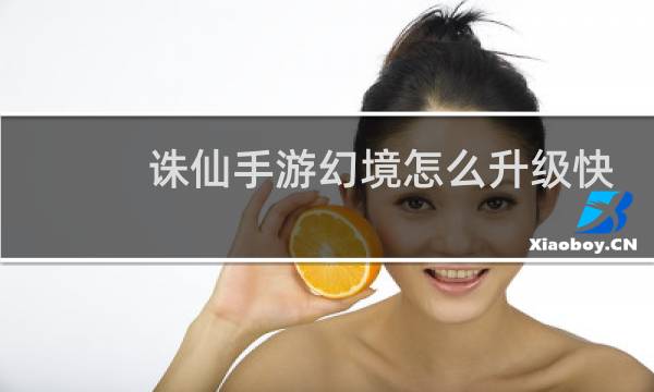 诛仙手游幻境怎么升级快
