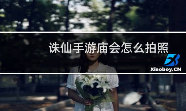 诛仙手游庙会怎么拍照