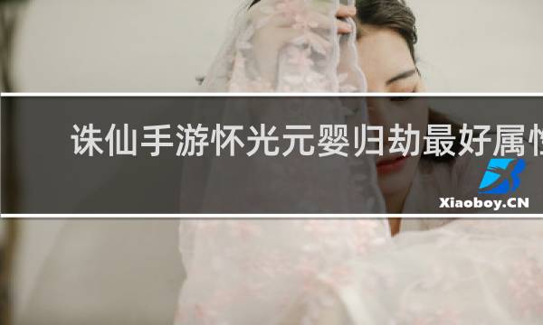 诛仙手游怀光元婴归劫最好属性