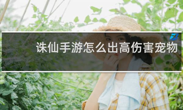 诛仙手游怎么出高伤害宠物