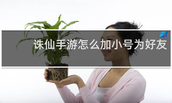 诛仙手游怎么加小号为好友