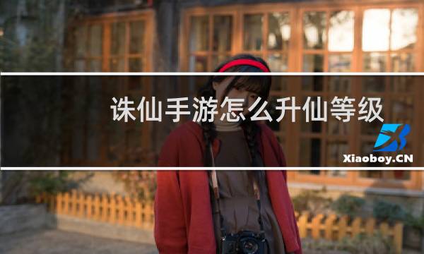 诛仙手游怎么升仙等级