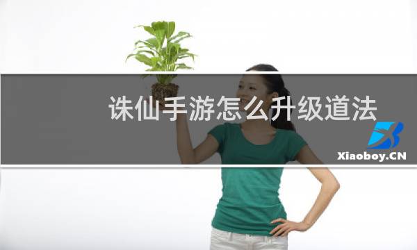 诛仙手游怎么升级道法