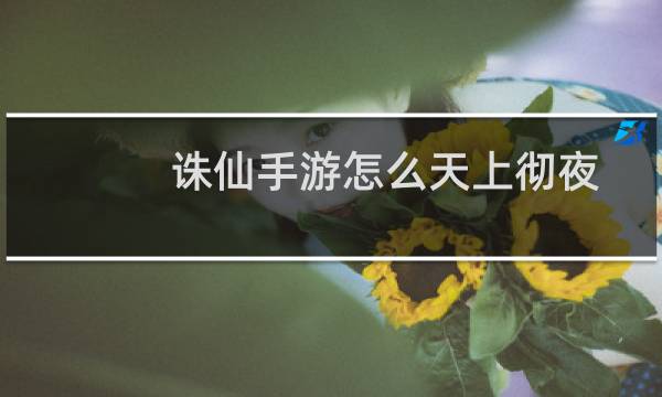 诛仙手游怎么天上彻夜