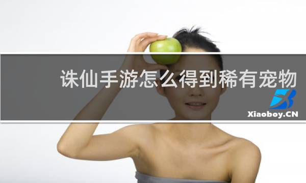 诛仙手游怎么得到稀有宠物