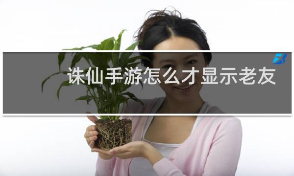 诛仙手游怎么才显示老友