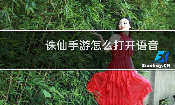 诛仙手游怎么打开语音