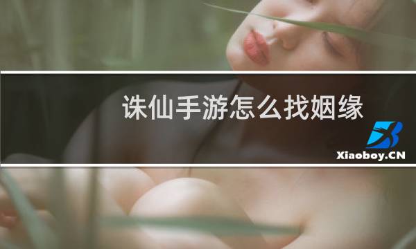 诛仙手游怎么找姻缘