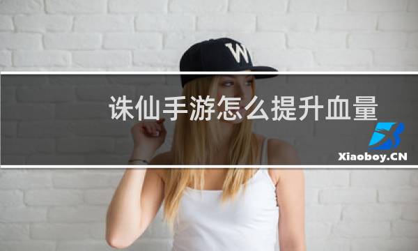 诛仙手游怎么提升血量