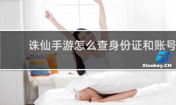 诛仙手游怎么查身份证和账号