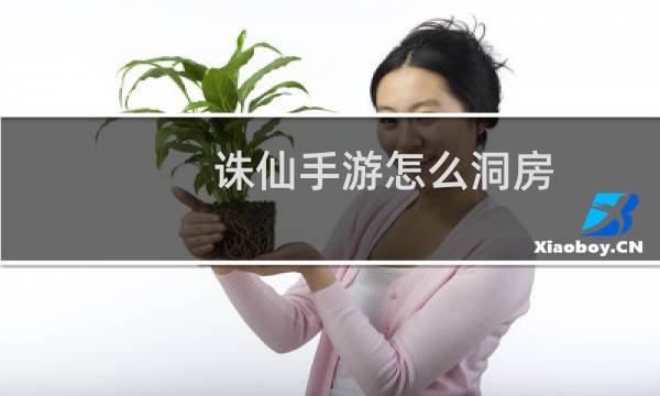 诛仙手游怎么洞房