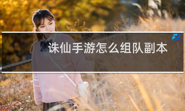 诛仙手游怎么组队副本