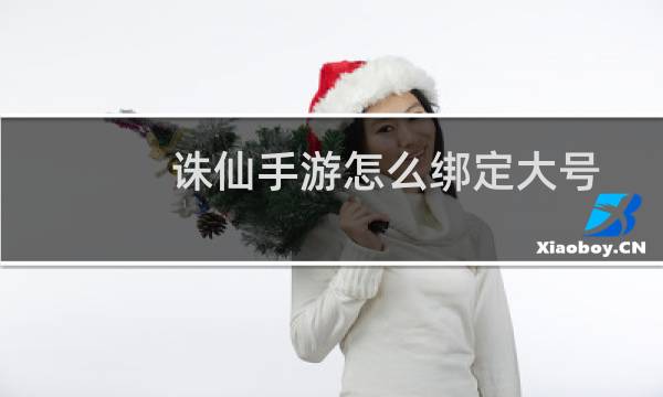 诛仙手游怎么绑定大号