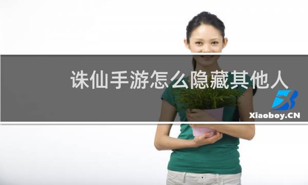 诛仙手游怎么隐藏其他人