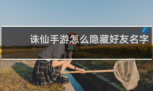 诛仙手游怎么隐藏好友名字