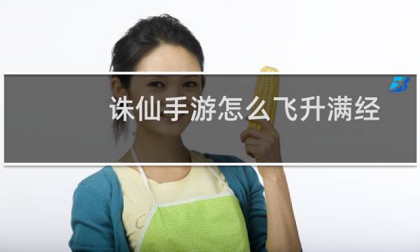 诛仙手游怎么飞升满经