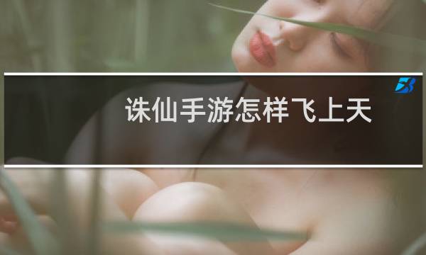 诛仙手游怎样飞上天