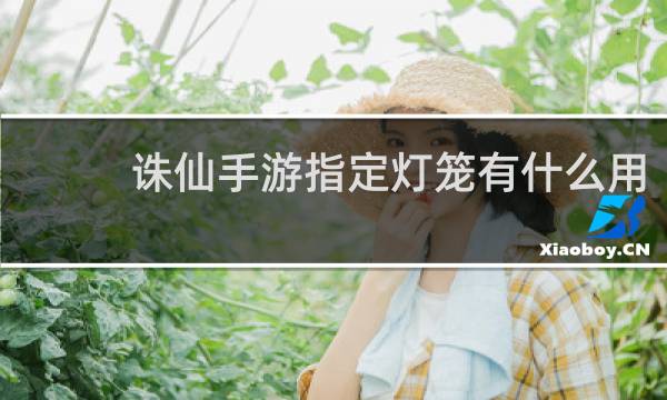 诛仙手游指定灯笼有什么用
