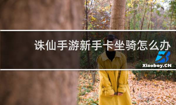 诛仙手游新手卡坐骑怎么办