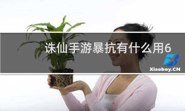 诛仙手游暴抗有什么用6