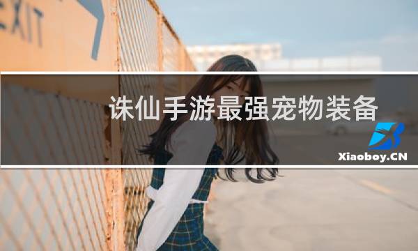 诛仙手游最强宠物装备